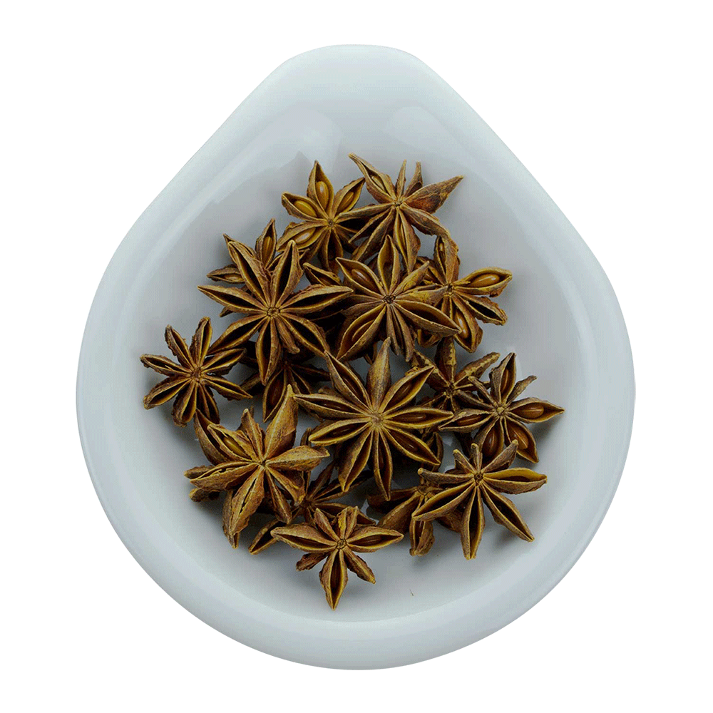 Truedy Bio Sternanis ganz