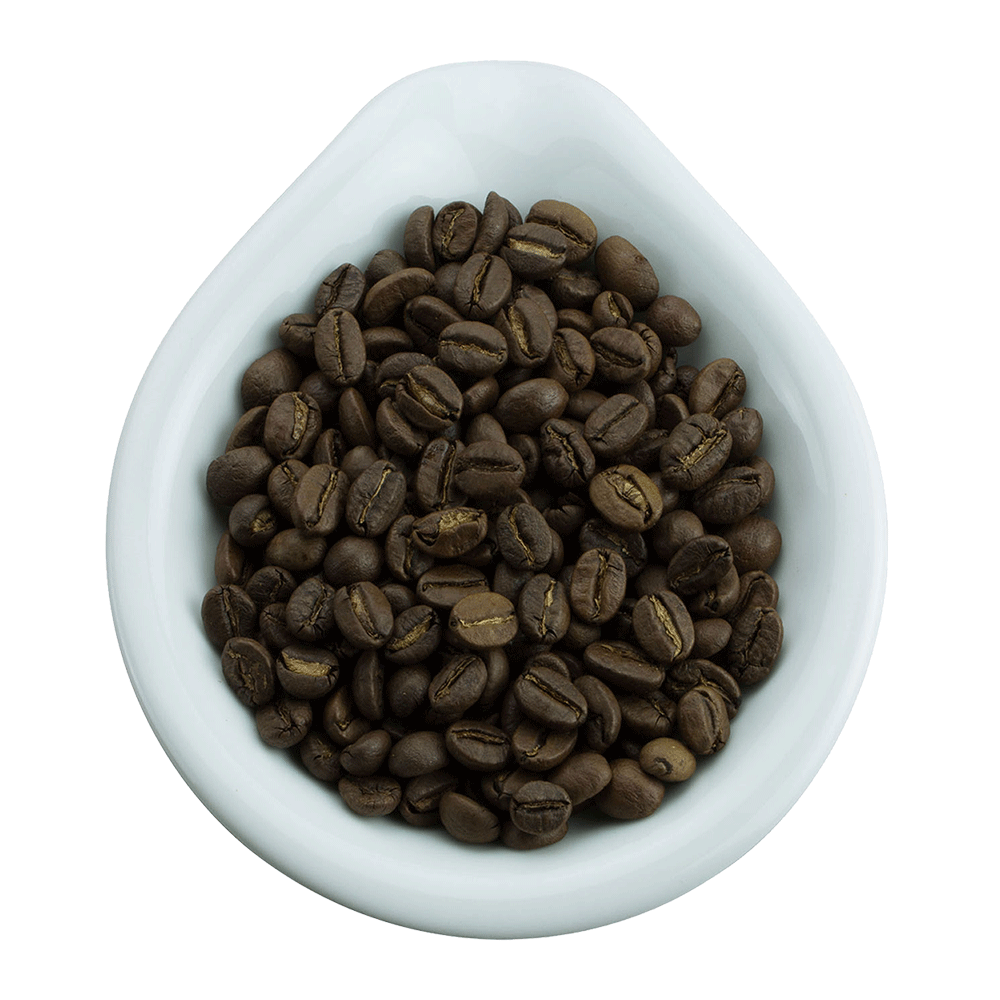Caffè Casolo Bio Espresso