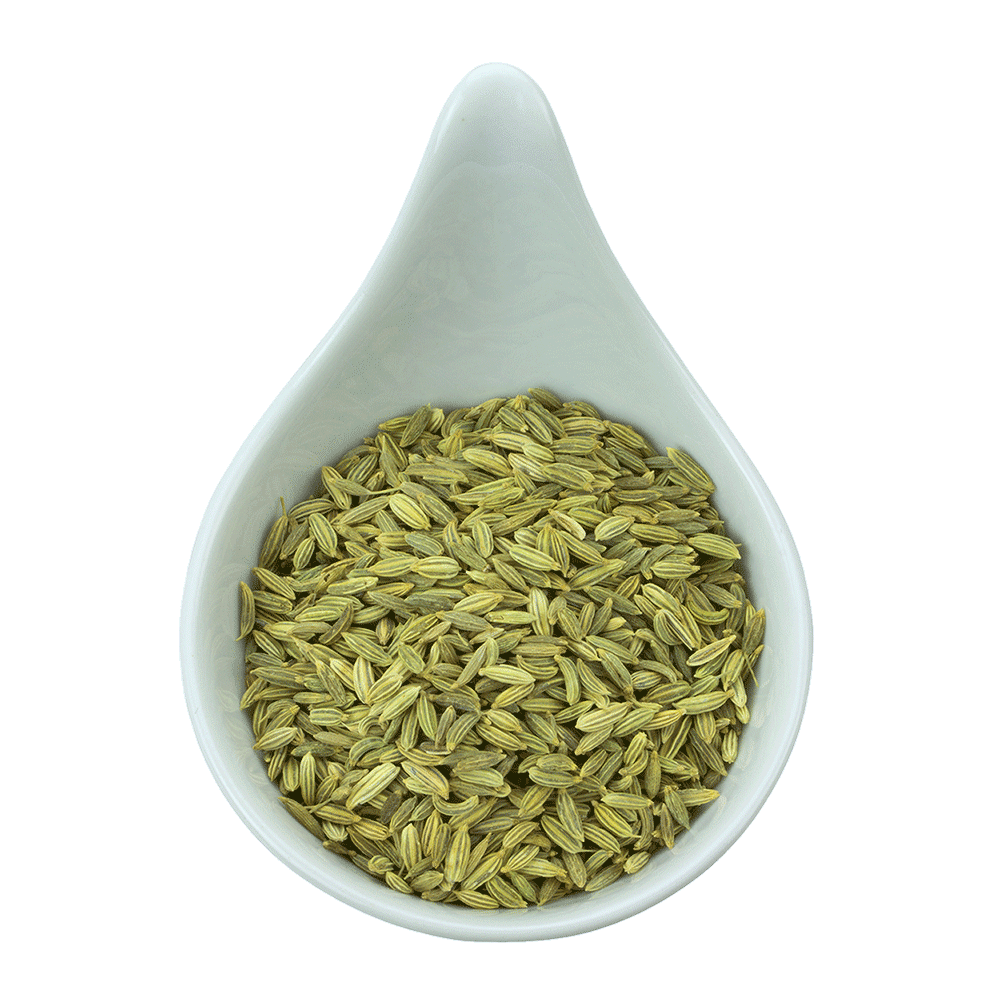 Truedy Bio Fenchel Fenchelsamen ganz