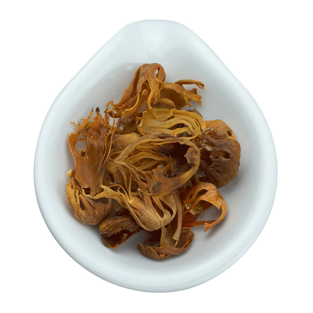 BIO MACIS (MUSKATBLÜTE)