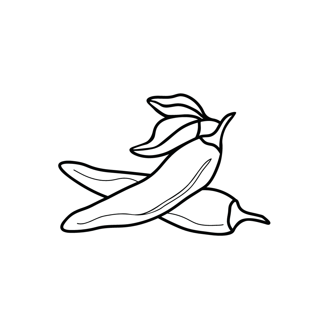 chili-schoten-icon