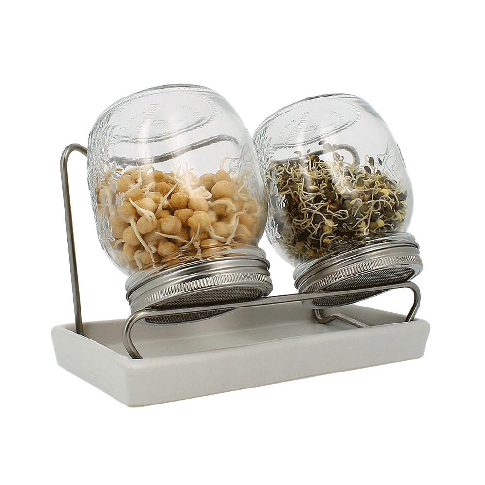 SPROSSENGLAS 2er SET