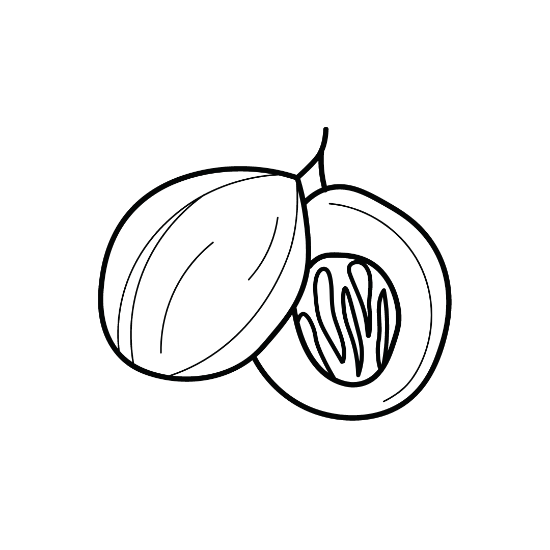Macis-Icon