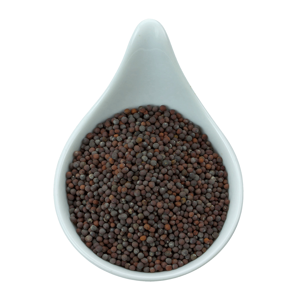 Truedy Bio Senfsamen Senfsaat braun ganz 