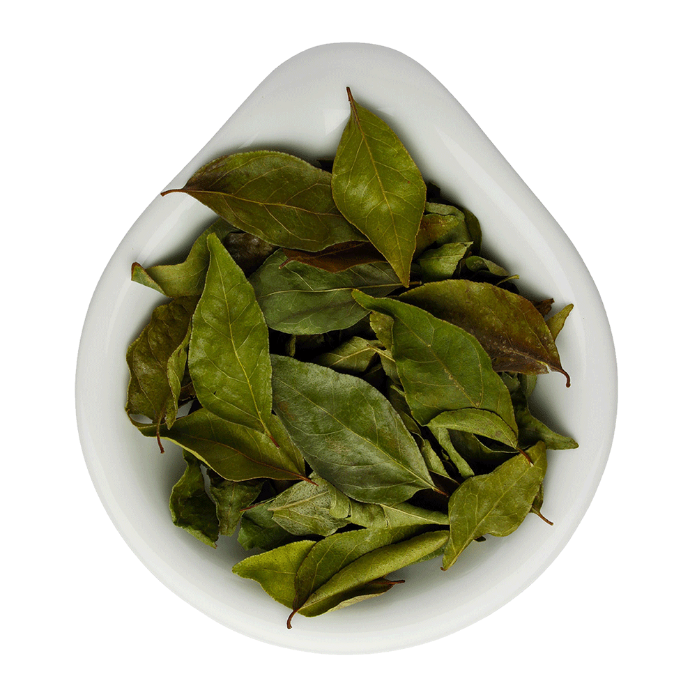 Truedy Bio Curryblätter ganz