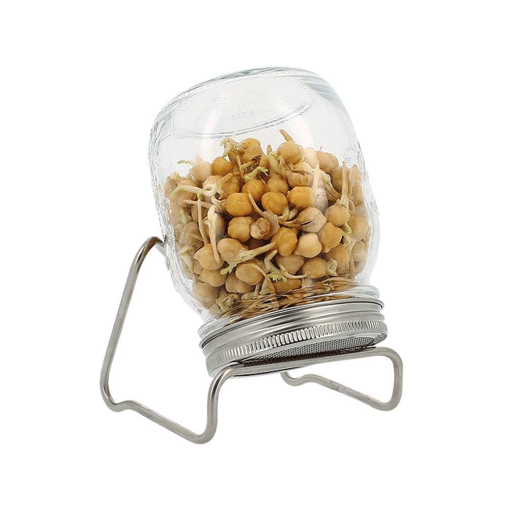 SPROSSENGLAS MIT GESTELL