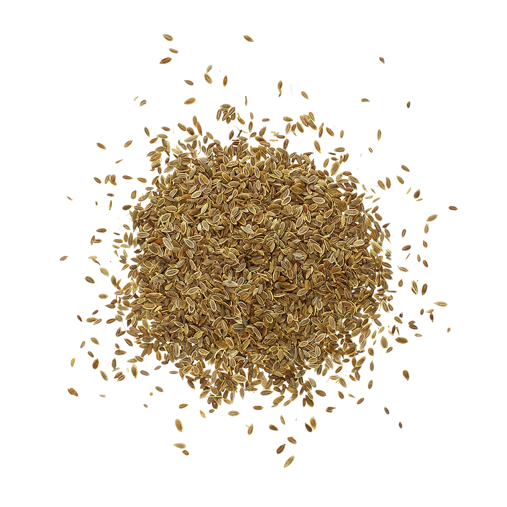 Truedy Bio Dillsamen