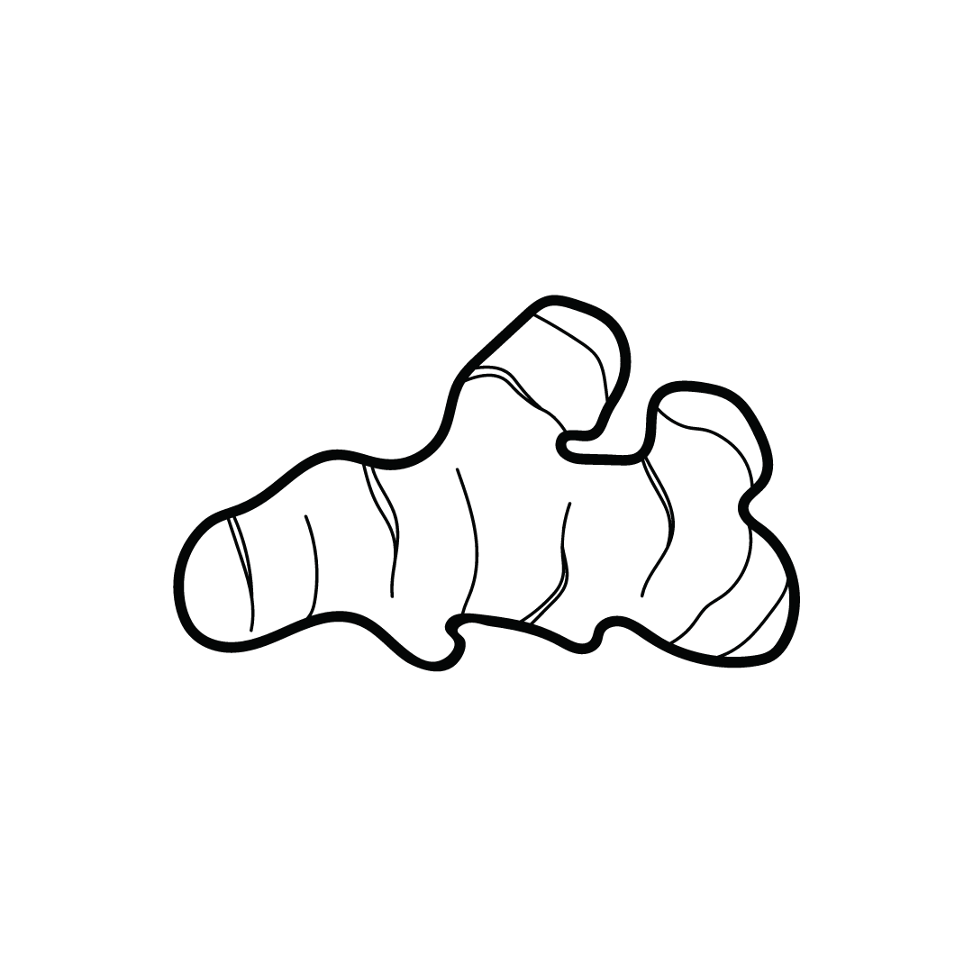 kurkuma-tumeric-icon