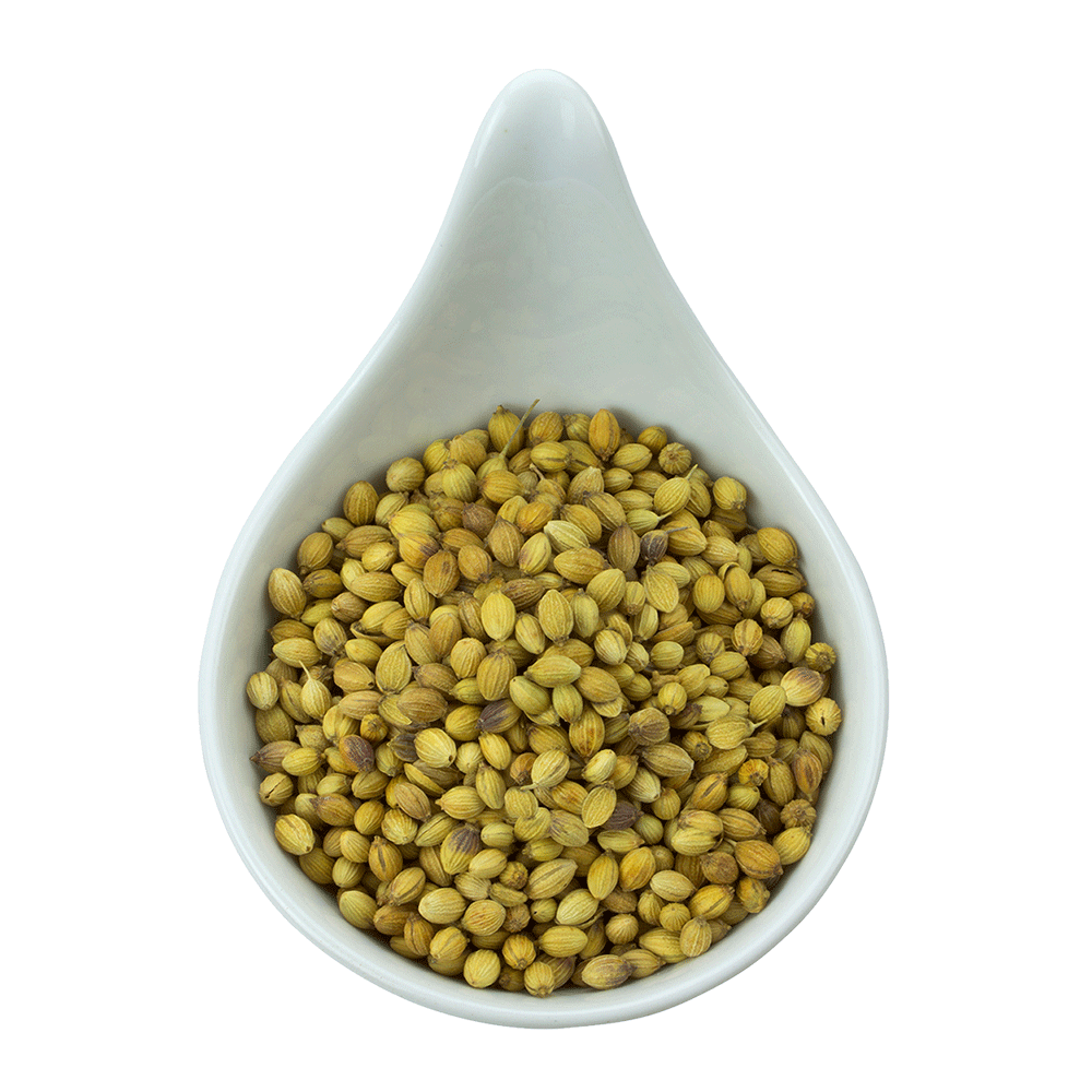 Truedy Bio Koriander ganz