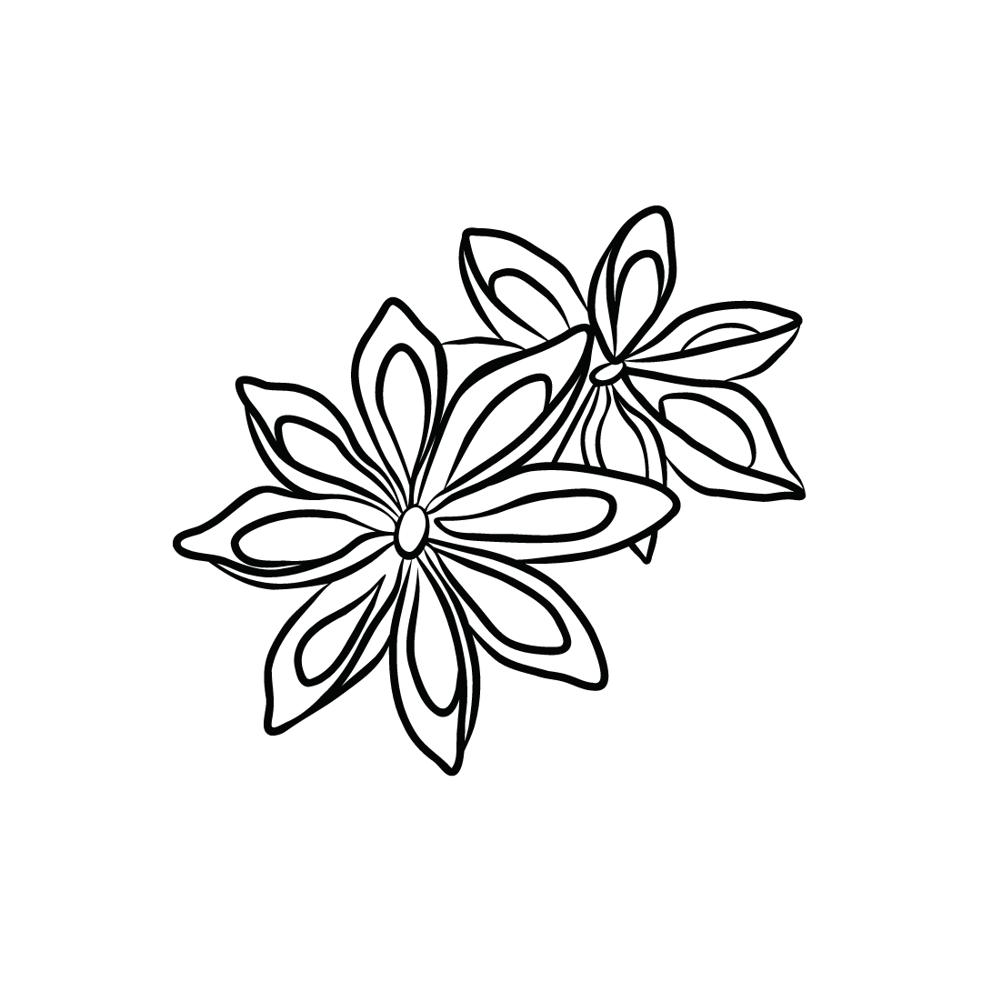 sternanis-icon